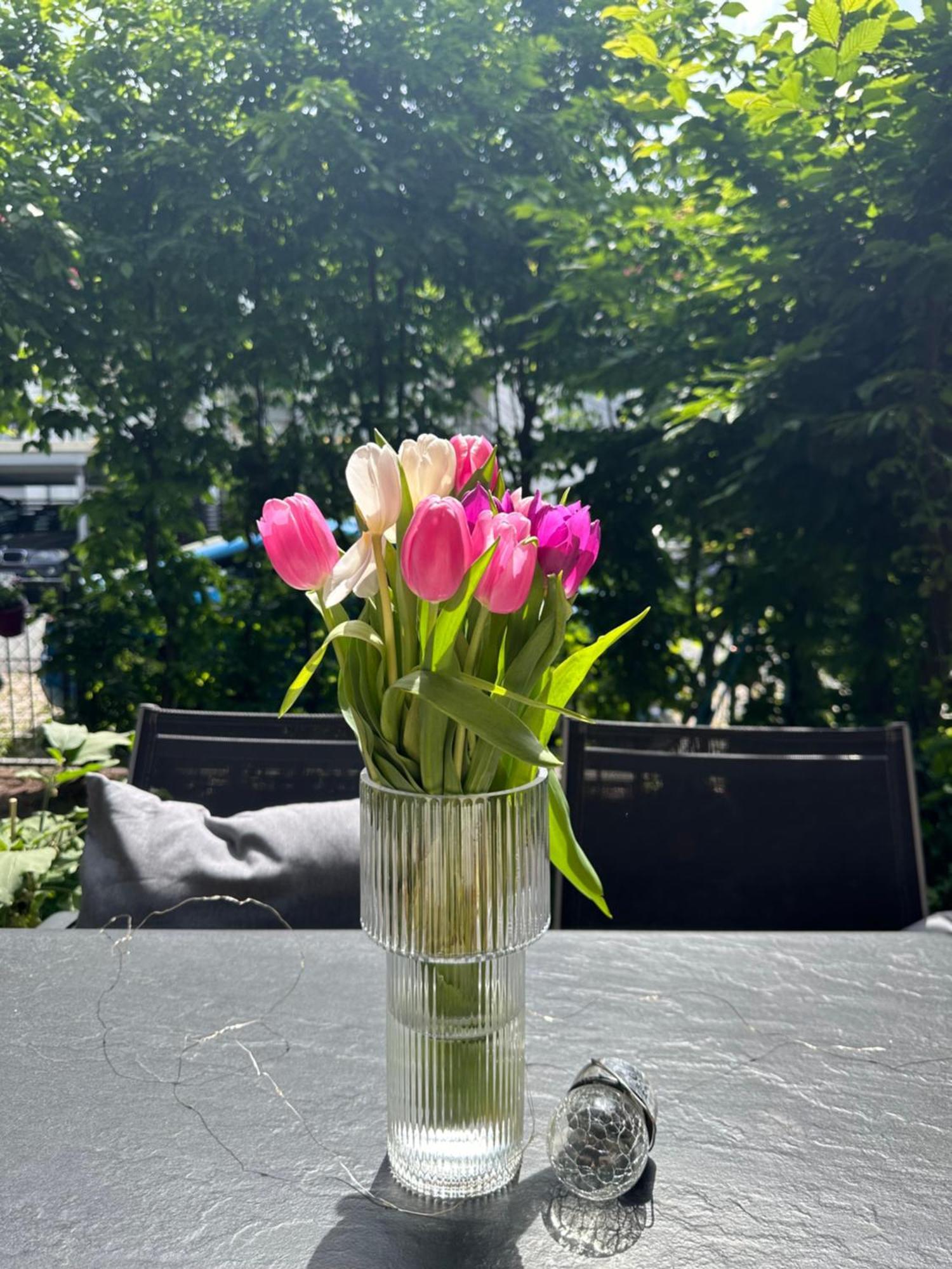 Luxus I Wohnkueche I Garten I Terrasse I Parkplatz Fürth Eksteriør billede